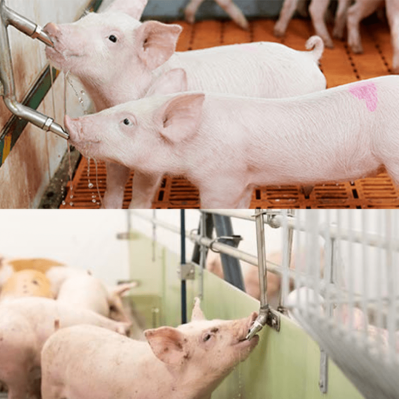 Adapatoare suzeta pentru purcei 1/2" 4 Adapatoare suzeta pentru purcei 1/2" - imagine 4