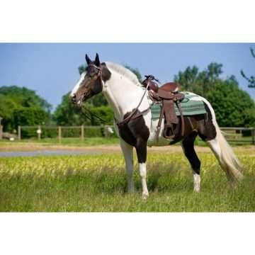 Sa Western piele pentru cai - imagine 2