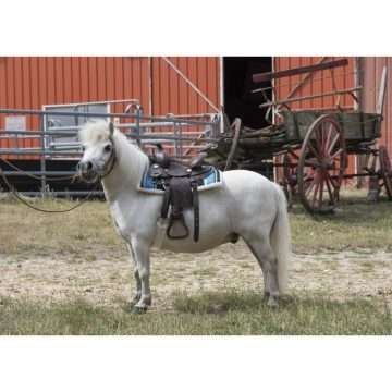 Sa piele ponei model Western - imagine 3