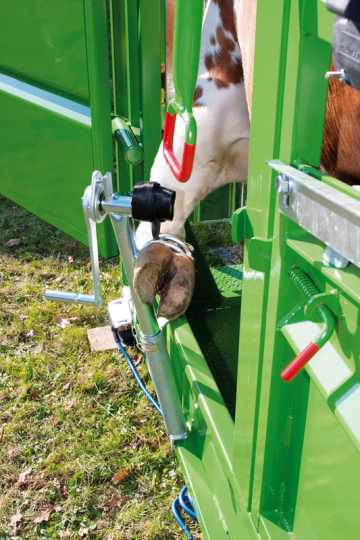 302402_Behandlungsstand-A5000-Vorderfusswinde_MG_9798_low.69408772
