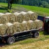 Plasa de balotat Polywrap - imagine 2