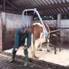 Sistem pentru ingrijirea copitelor - imagine 3