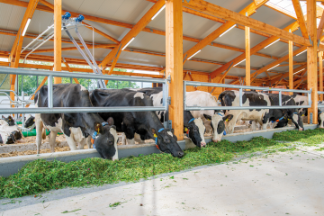 32140X_Futtertischabtrennung-2-rohrig-Anwendung-Rind_0565-4625.852aa150