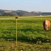 Stalp gard electric fibra de sticla 125 cm - imagine 3